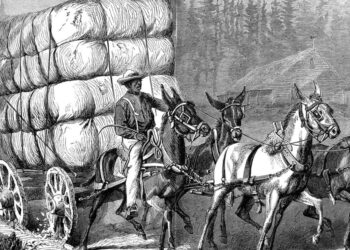 What are all of us taking part in this weekend?