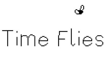 Assessment: Time Flies (Nintendo Transfer)