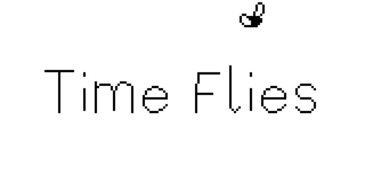 Assessment: Time Flies (Nintendo Transfer)
