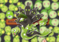 Z-A Zygarde’s favourite cafe, however it isn’t in Lumiose