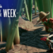 Proportion of the Week: Harvest – PlayStation.Weblog