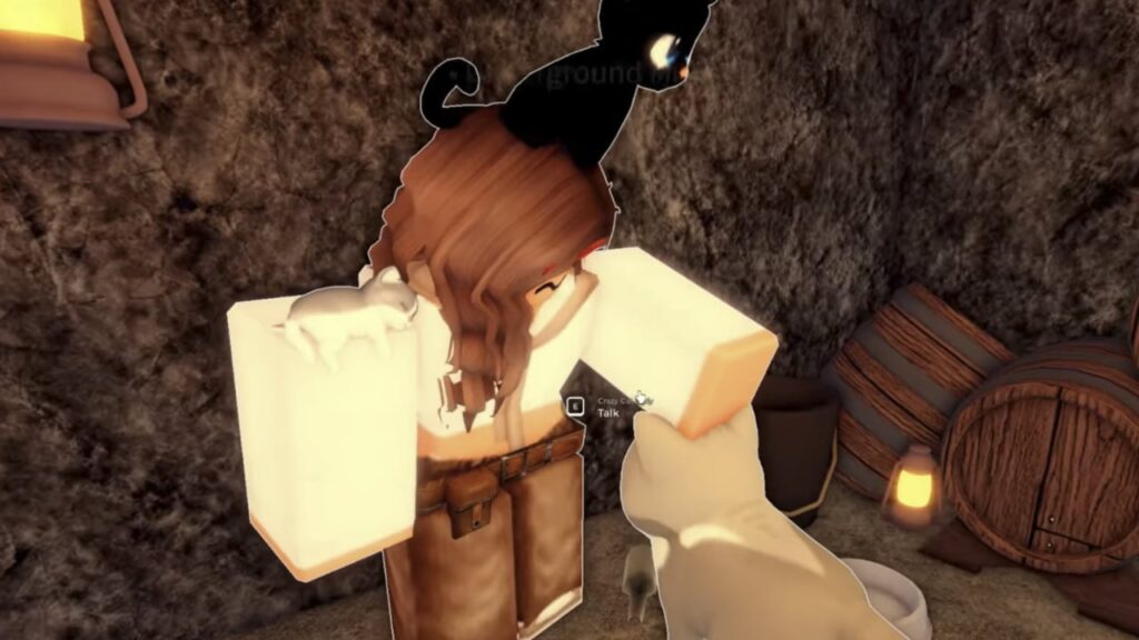 Feature image for our Fisch Crazy Cat Lady guide showing an NPC petting a cat.