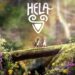 Hela: A Co-Op Journey for Each Roughly Participant