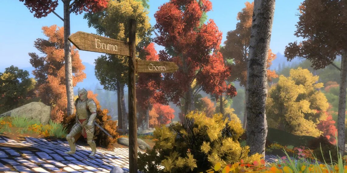 Skyblivion undertaking lead says the large Oblivion remake mod is “in a great spot” all the way through its first correct exhibit of 2026