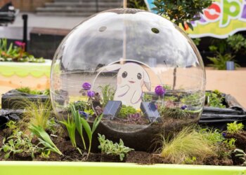 A Beautiful Little Pokémon-Themed Lawn Has Opened Up In London, UK