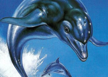 Ecco the Dolphin: Entire printed, a mix of remaster and emblem new sport spanning each and every Ecco sport from the 8 to 16-bit generation