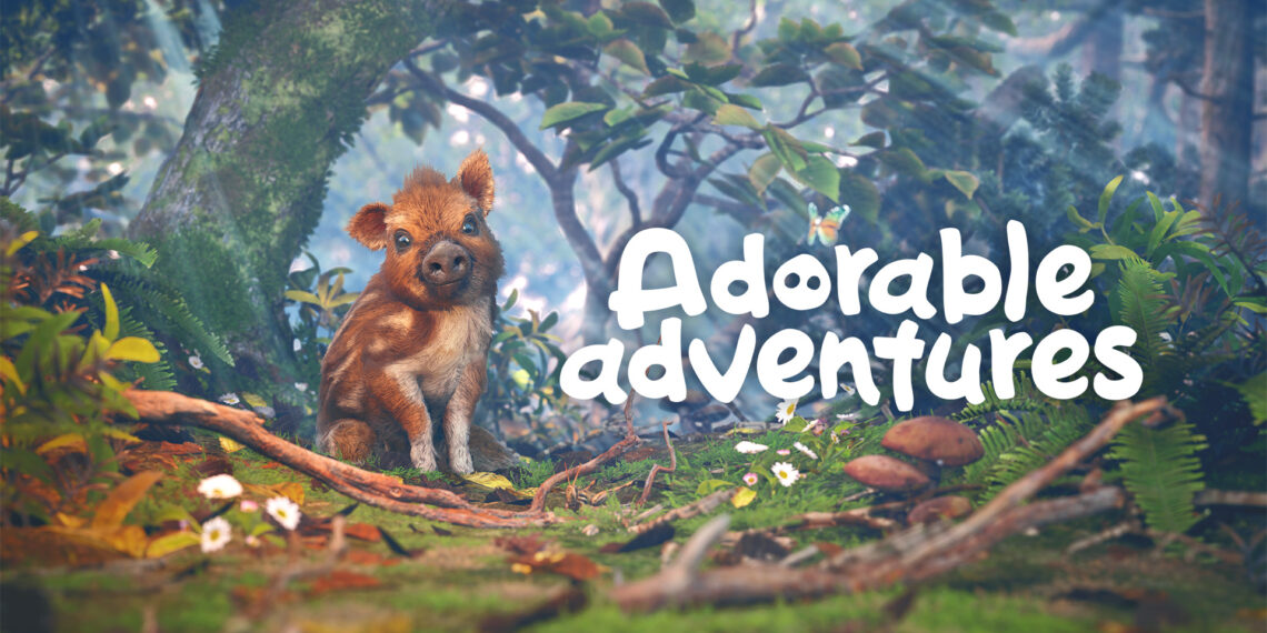 How We Constructed a Quest Round Interest in Lovely Adventures
