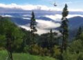 Standard Xbox Recreation on PS5 Wonder Drops Unfastened Replace Enthusiasts Requested For