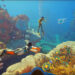 Subsequent Week on Xbox: New Video games for Might 11 to fifteen