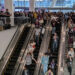D2C, co-development and “quantity over viability”: GDC 2026 developments published